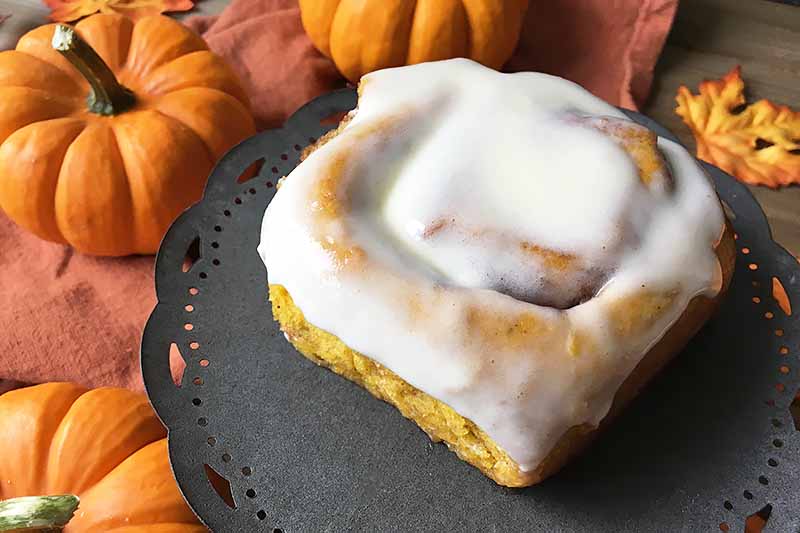 Horizontal image of one glazed breakfast bun on a dark stand in front of mini pumpkins.