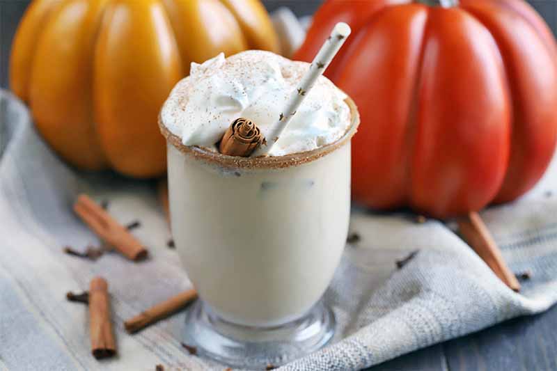 A glass is filled with a creamy coffee cocktail, topped with whipped cream and cinnamon, with a white paper straw printed with gold stars, with two decorative orange pumpkins in the background, on a gathered gray cloth, with scattered whole cinnamon sticks and cloves.