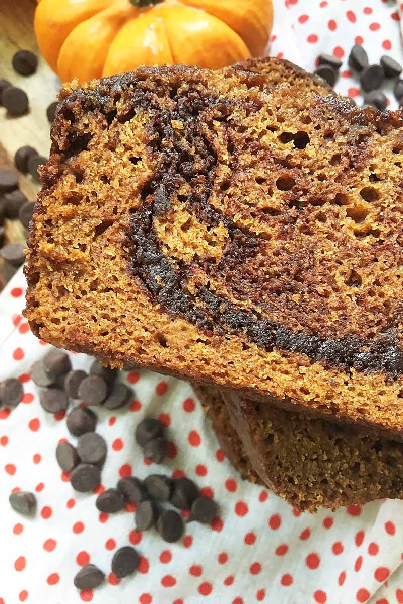 Vertical close-up image of an orange slice of quick bread with brown swirls over chocolate chips.