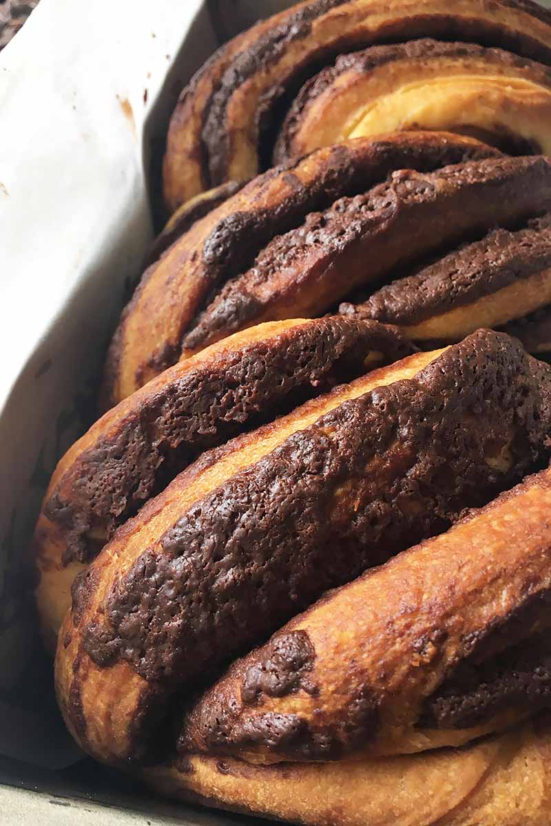 Vertical close-up image of baked chocolate babka in a pan.