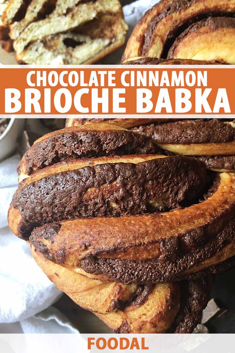 Vertical close-up image of a whole baked loaf of chocolate cinnamon brioche bread.