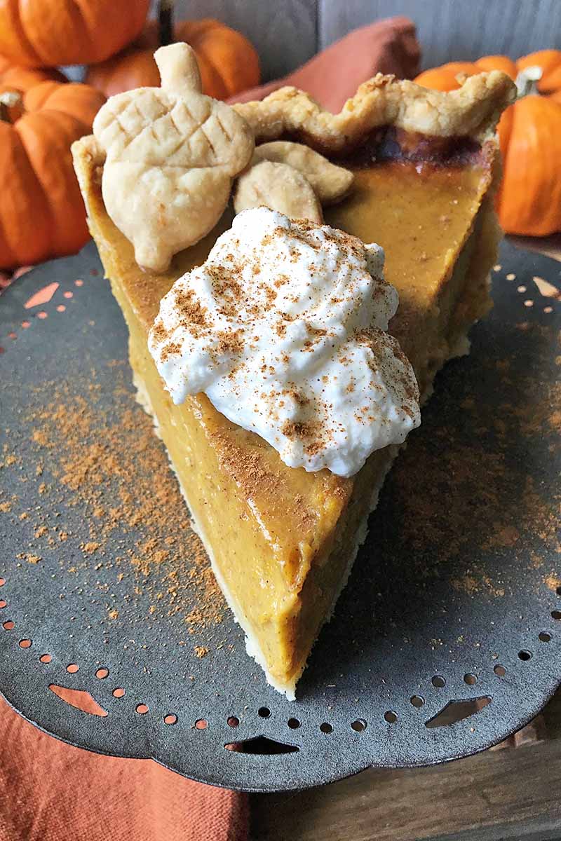 Vertical image of the front of a slice of pumpkin pie with garnishes.
