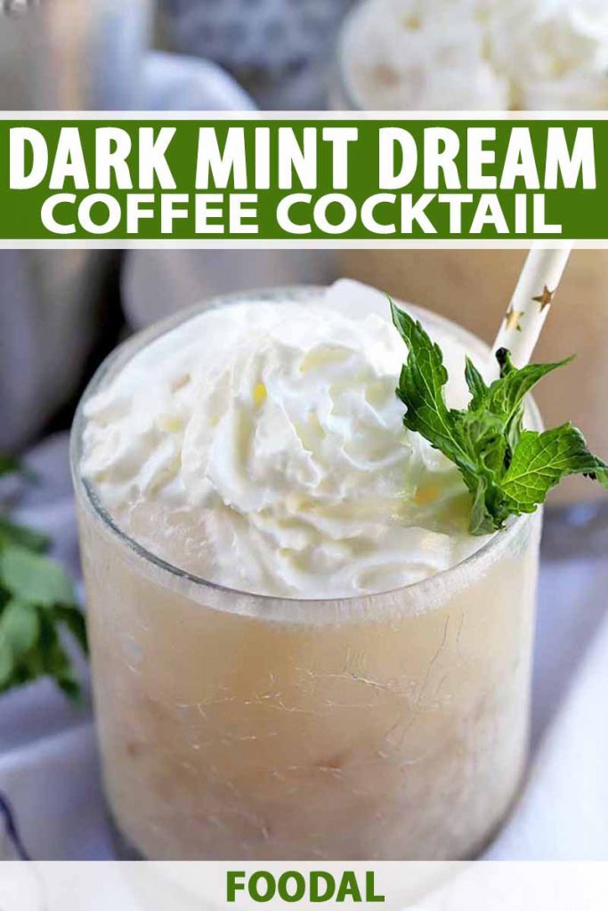 Vertical closeup of a glass of a milky coffee mixture topped with whipped cream and a sprig of mint, with a paper straw with decorative gold foil stars, with another identical glass and a stainless steel cocktail shaker in soft focus in the background, with scattered fresh herbs, on a gray folded and gathered cloth, printed with green and white text.