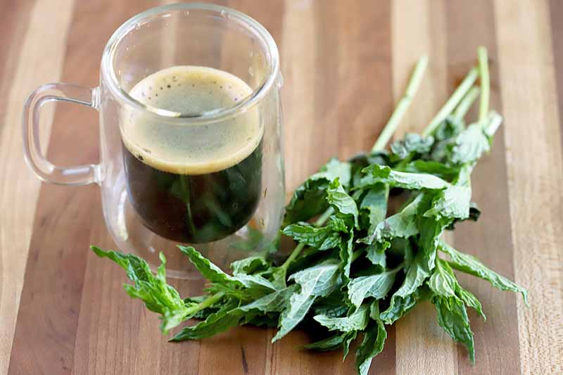 A glass mug of espresso and several sprigs of green fresh mint, on a wood surface.