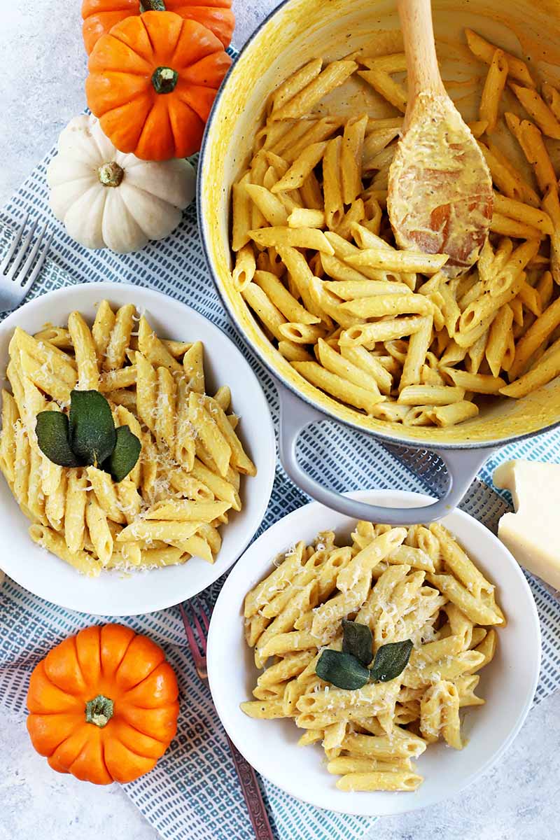 Vertical overhead shot of a blue and white pot of penne pasta in cream sauce with a spoon to the right, and two white bowls of the dish topped with fried sage leaves to the left, on a blue and white checkered tablecloth with decorative miniature white and orange pumpkins.