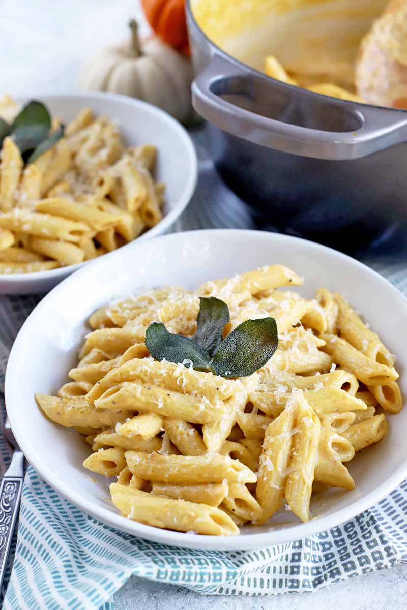 Vertical image of two white bowls and a blue enamel pot of penne pasta with homemade cream sauce, with grated Parmesan cheese and fried sage leaves for garnish on the plated portions.