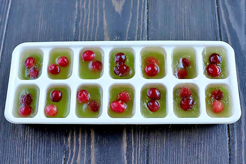 Horizontal image of an ice tray filled with grape juice and cranberries.