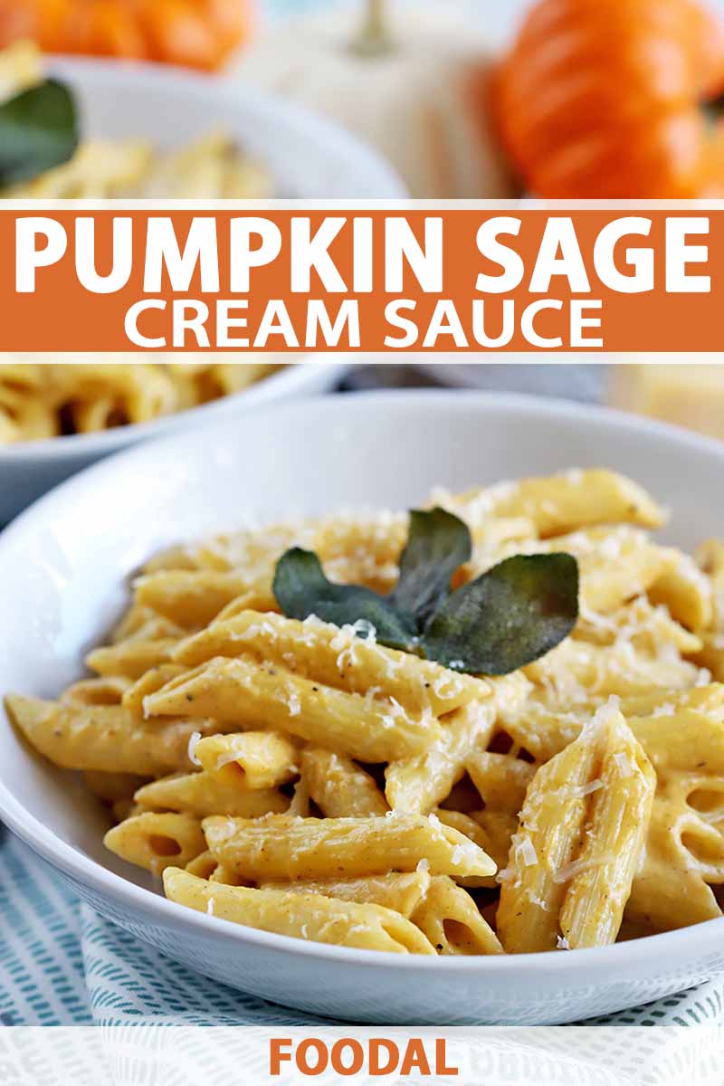 A white shallow bowl of penne in cream sauce, topped with grated cheese and fried sage leaves, with another bowl and miniature pumpkins in the background, printed with orange and white text.