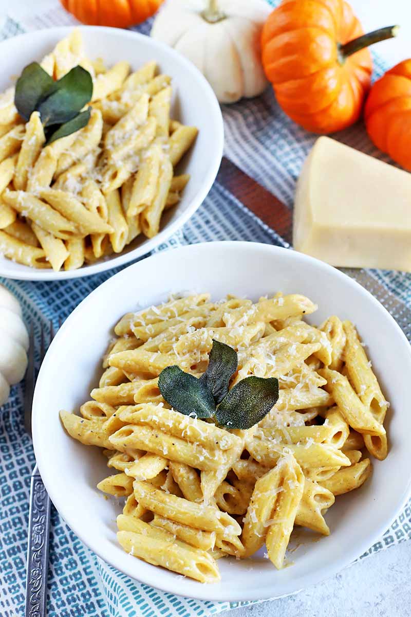 Vertical shot of two white bowls of penne and cream sauce, garnished with fried sage, on a blue and white checkered cloth with decorative white and orange miniature pumpkins, and a block of Parmesan cheese.