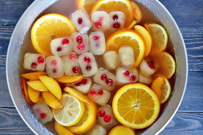 Horizontal image of a bowl filled with liquids, cranberry ice cubes, and slices of fruit.
