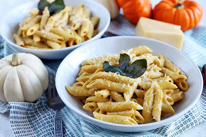 Two white bowls of pasta with pumpkin cream sauce, topped with grated cheese and fried sage leaves, on a blue and white checkered cloth with miniature white and orange pumpkins, and a block of Parmesan.