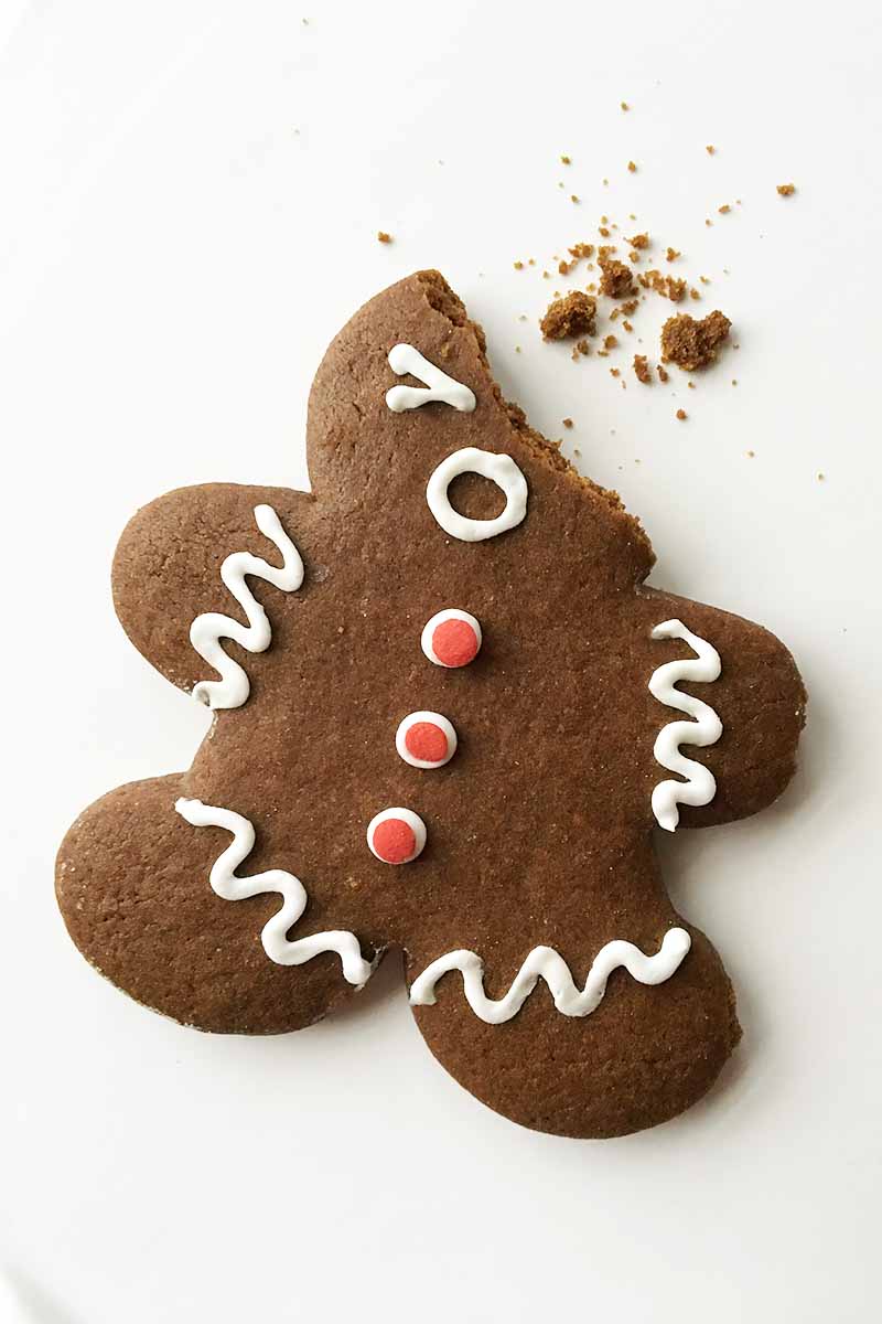 Vertical image of a gingerbread cookie with a bite taken out of it on a white surface.