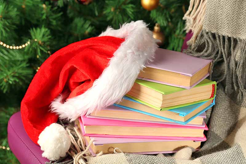 A Santa hat is arranged on top of a pile of books with pastel-colored covers, on a chair draped with a gray blanket with fringe, in front of a Christmas tree.