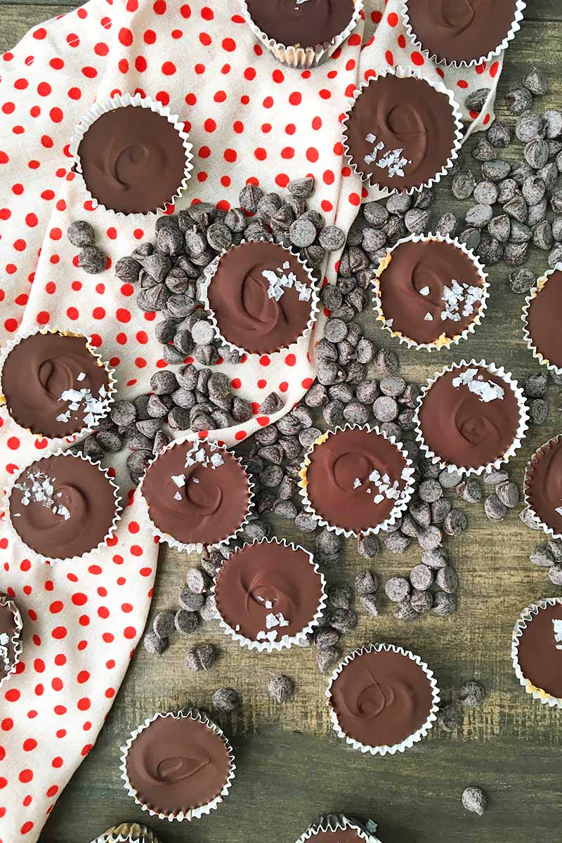 Overhead shot of nearly 20 homemade peanut butter cups with flakes of sea salt on top, on a polka dot orange and white cloth and a wood surface with scattered chocolate chips.
