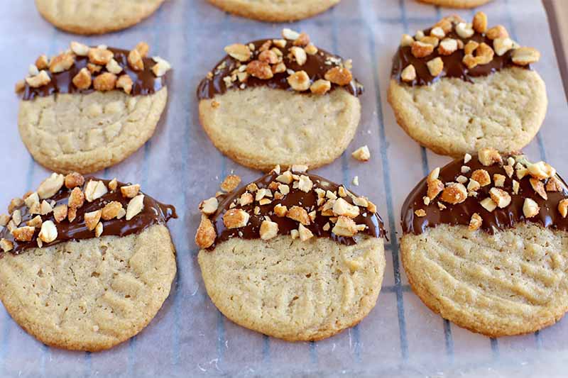 Flat, round peanut butter cookies half coated in chocolate and chopped honey roasted nuts, arranged in rows on a piece of waxed paper on top of a metal cooling rack.