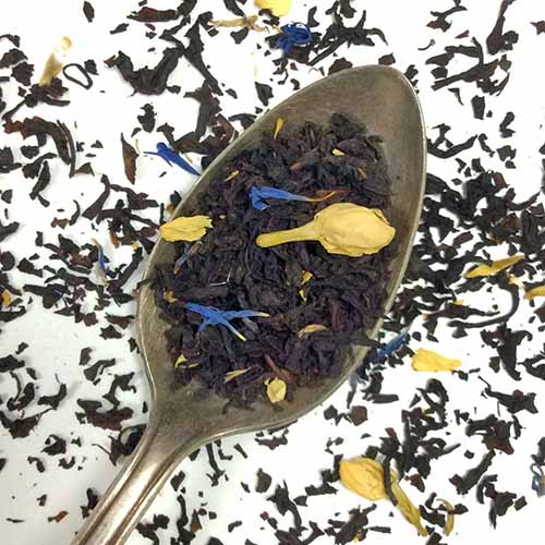 Loose leaf Earl Grey black tea with yellow and plue flower petals, in a spoon and spilling onto a white background.