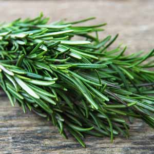 Close up of a bundle of rosemary springs on a rustic wooden surface.