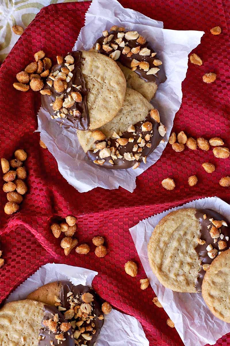 Overhead vertical shot of chocolate-dipped peanut butter cookies on pieces of parchment paper on top of a gathered red cloth.