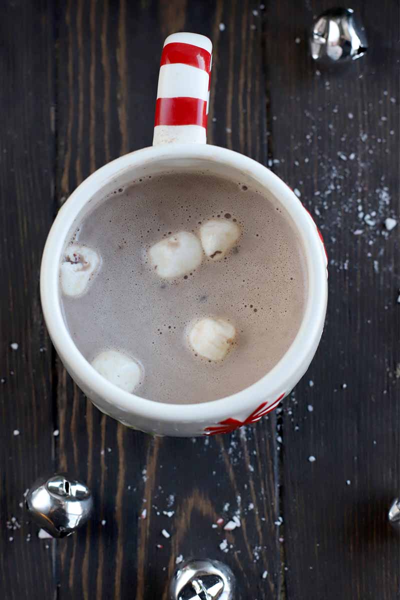 Overhead shot of a red and white holiday mug of hot chocolate with scattered jingle bells and peppermint candy crumbs, on a dark brown wood surface.