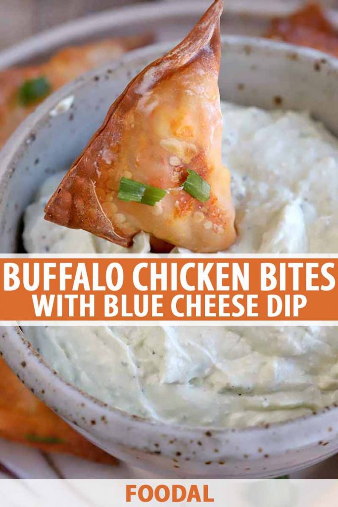 Closeup vertical image of a buffalo chicken wonton dipped into a bowl of blue cheese dip, printed with orange and white text.