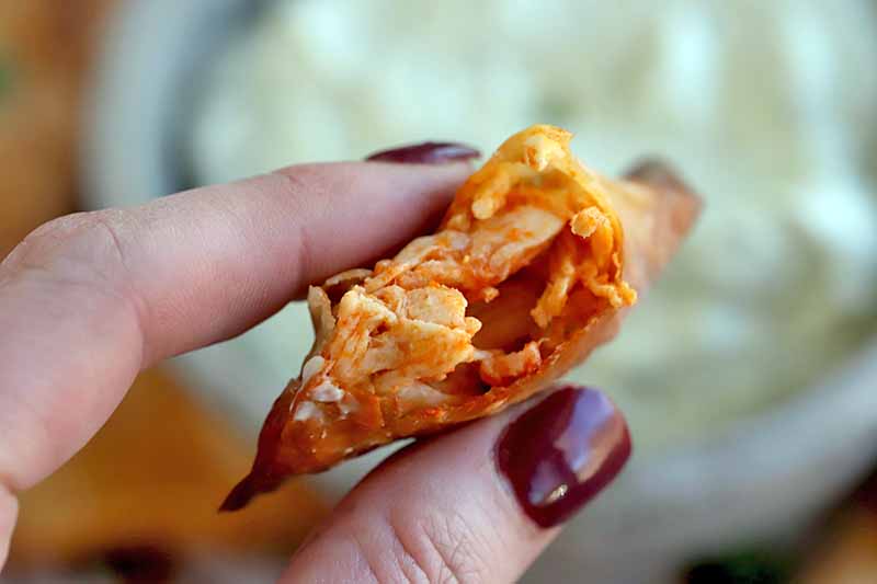 Closeup of fingers with manicured nails with burgundy polish grasping a buffalo chicken stuffed wonton with a bite taken out of it to show the filling inside, with a bowl of blue cheese dip in soft focus in the background.