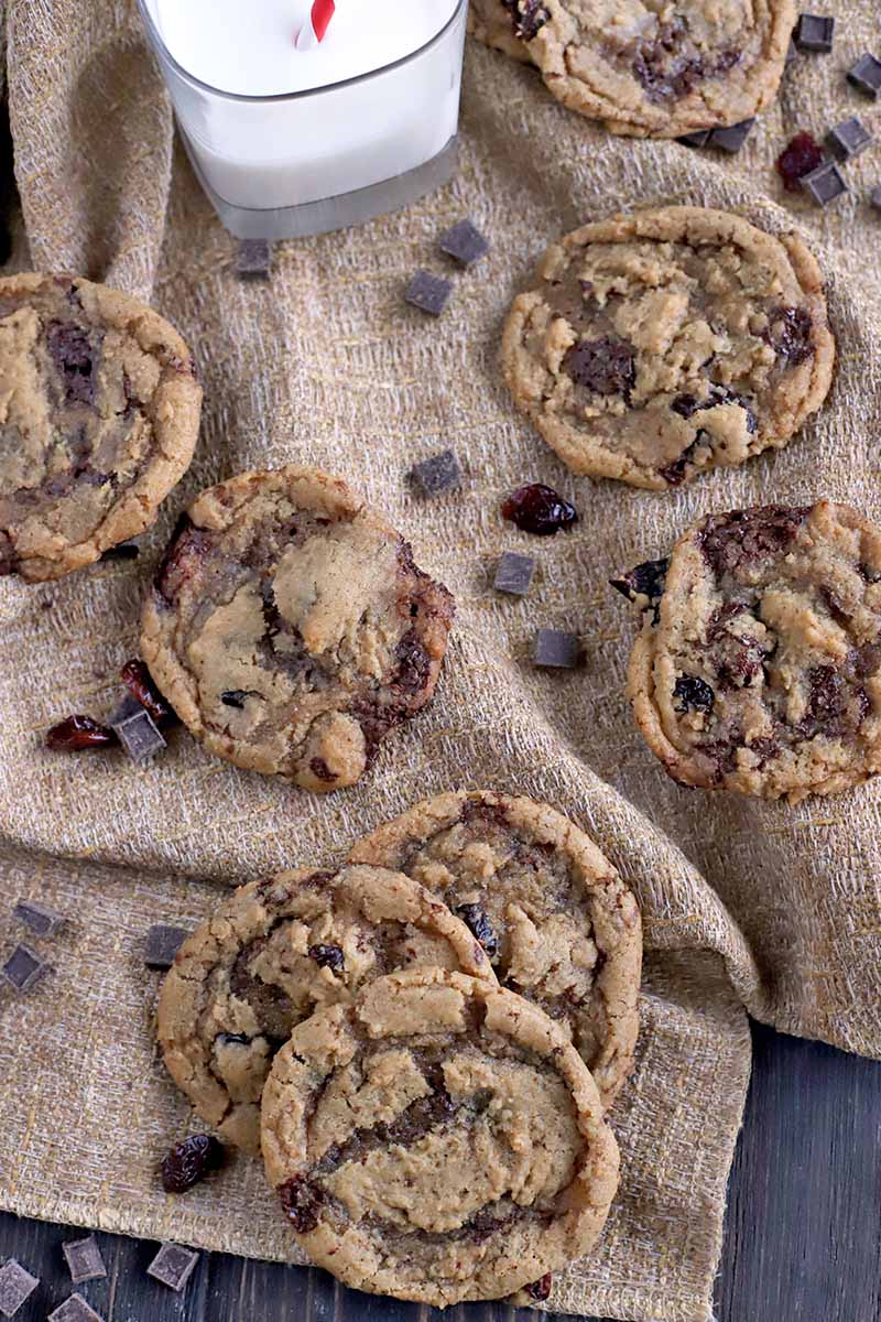 Overhead shot of vegan dark chocolate chunk and cherry cookies on a folded and gathered piece of burlap, with a glass of milk, on a dark brown wood surface.