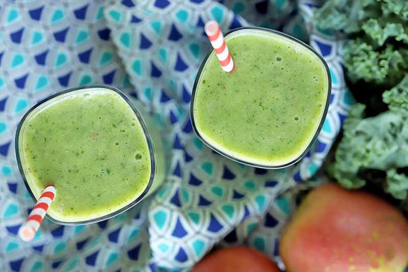 Overhead shot of two glasses of green smoothie with white and red striped straws, on a dark and light blue patterned cloth with green kale and red apples.