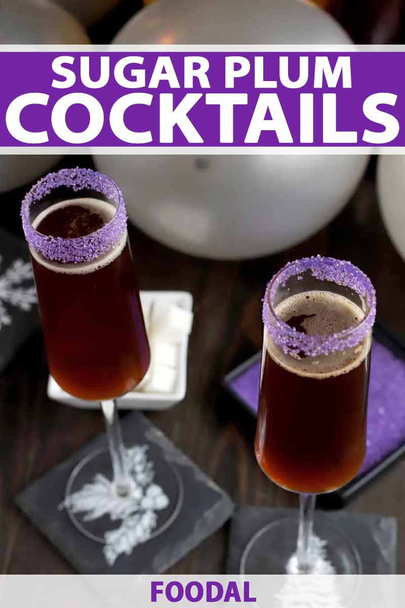 Vertical oblique shot of two champagne flutes with purple rims, filled with a brown beverage, on a dark brown wood surface with slate coasters and gray balloons, a white square dish of cubes and a black square dish of purple sanding sugar.