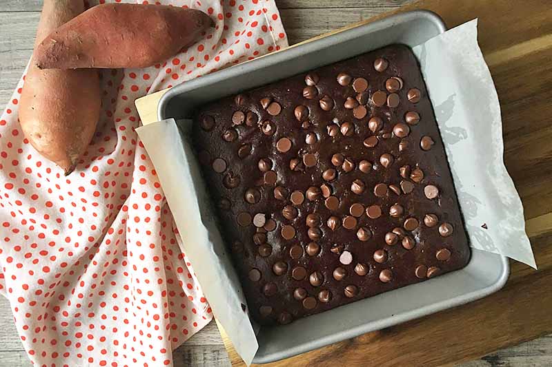 Horizontal image of baked chocolate chip brownies in a pan on a wooden cutting board on a polka dot towel.