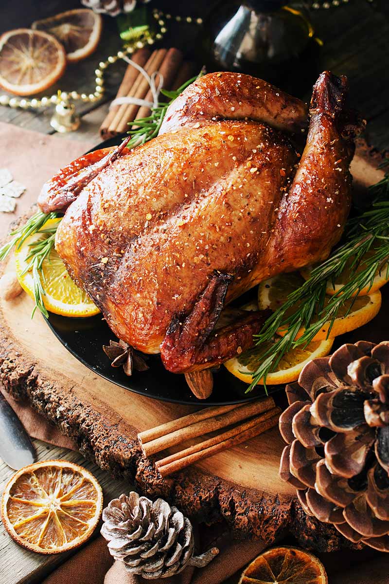 Vertical image of a whole roasted bird surrounded by holiday garnishes and decorations.