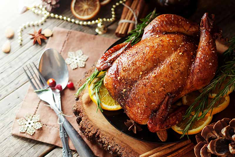 Horizontal close-up image of a roast turkey with citrus, herbs, and other assorted decorations.