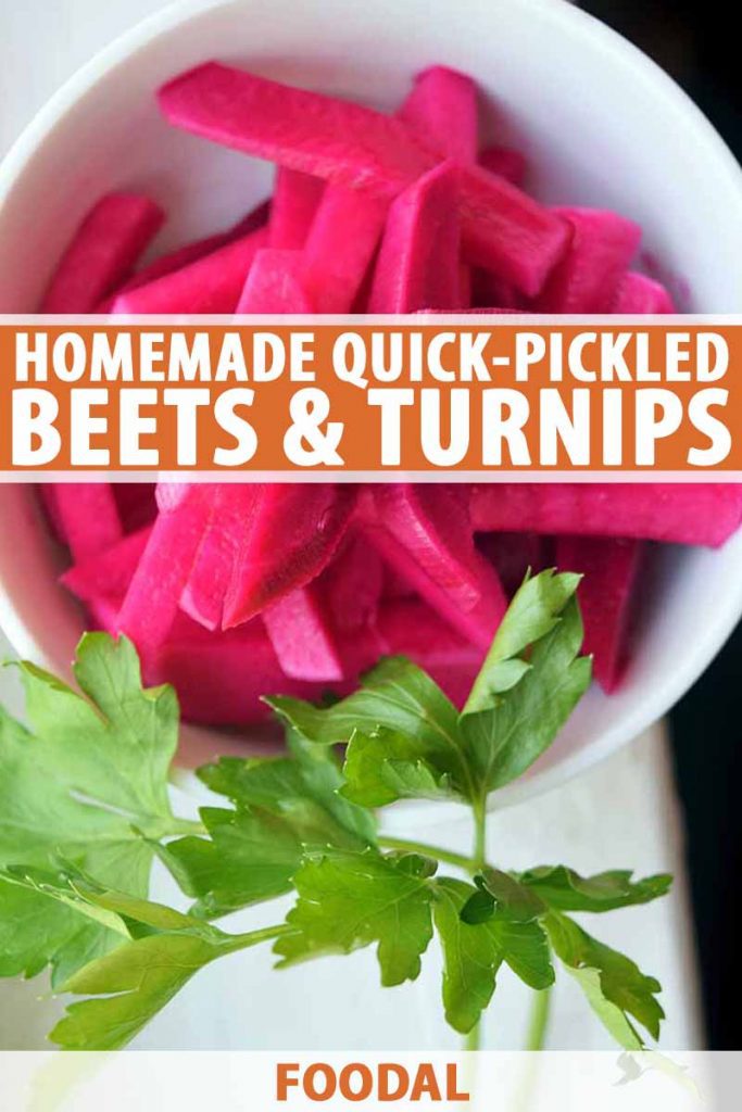 Vertical overhead image of a white bowl of shocking pink pickled turnips and beets, with a sprig of Italian parsley, on a white surface with a black background, printed with orange and white text at the midpoint and the bottom of the frame.