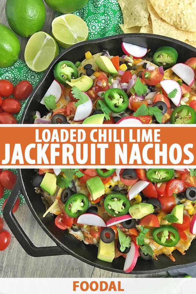 Vertical image of a cast iron skillet filled with toppings on nachos and text in the center and bottom of the image.