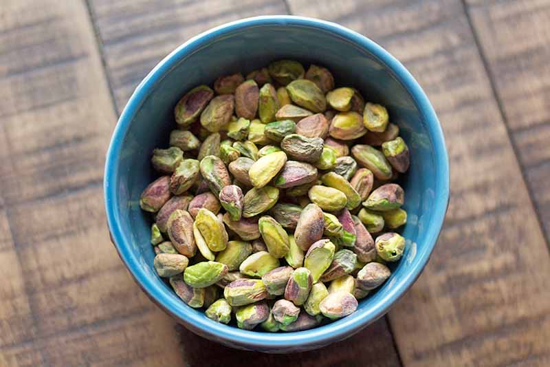 Overhead shot of a blue bowl full of shelled pistachios, on a brown wood surface.