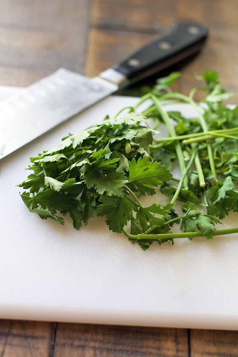 Flat leaf parsley on a white plastic cutting board with a chef's knife with a black handle, on a brown wood background.