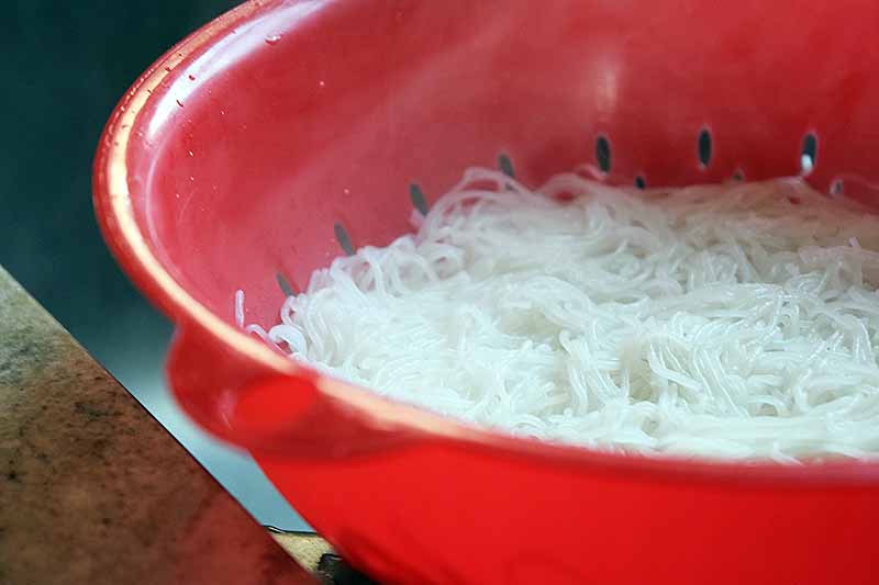 A red plastic colander of cooked thin rice noodles, beside a beige granite countertop, with a black background.