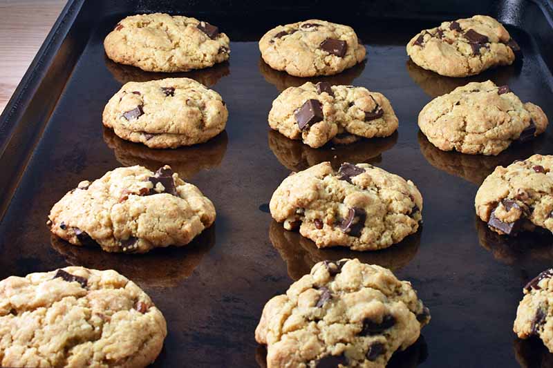 Horizontal closely cropped image of freshly baked chocolate chip cookies arranged in rows on a brown aged metal sheet pan with a short rim, on a beige background.