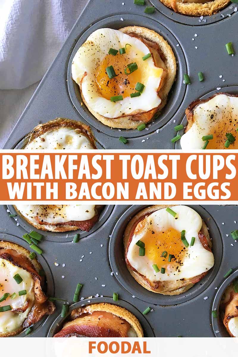 Vertical image of a muffin tin with baked breakfast bites with eggs, bacon, and chive garnish, with text in the center and on the bottom of the image.