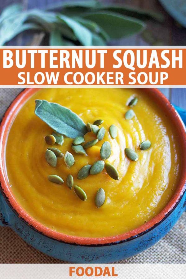 Slow Cooker Butternut Squash Soup Recipe | Foodal