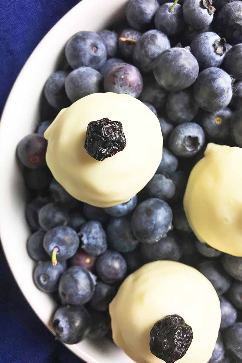 Vertical image of a bowl of blueberries with truffles on top.