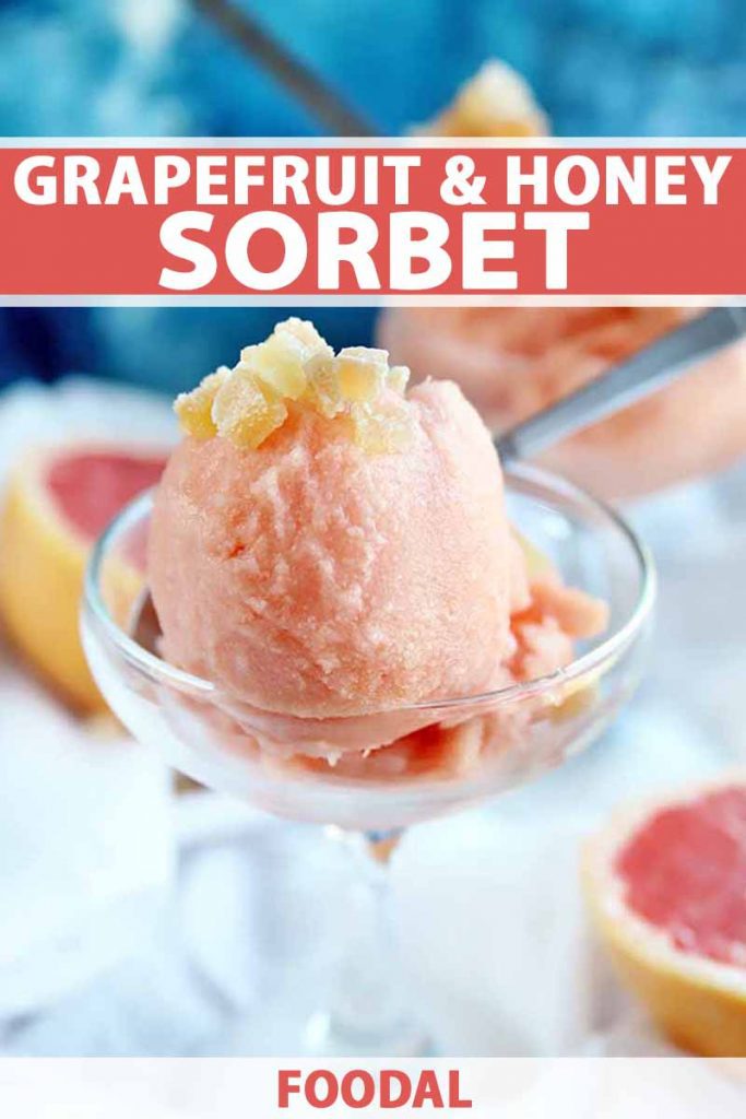 Vertical image of a glass of pink sorbet with another with a spoon in the background, and two halves of a ruby red grapefruit in soft focus in the background on a white cloth against a mottled blue backdrop, printed with white and salmon-colored text.
