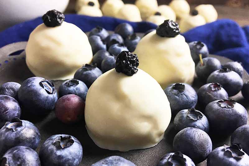 Horizontal image of candies with white chocolate coatings, and dried and fresh blueberries.