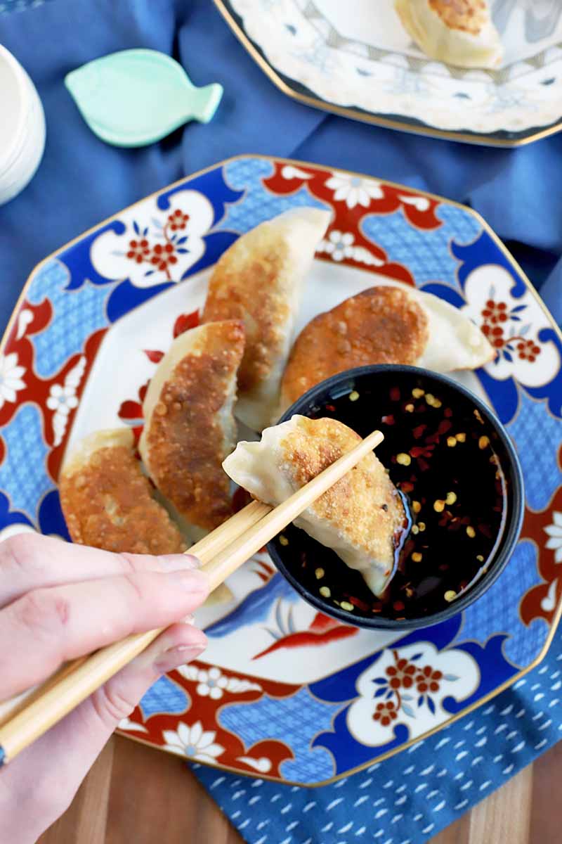 A hand grasps a pair of chopsticks and dips a chicken pot sticker into a soy-based dipping sauce in a gray cup on a blue, red, and white patterned plate of more of the pan-fried appetizers, with a white decorative plate of the same in the background, on a blue cloth with a blue ceramic fish and a white ceramic dish, on a brown wood table.