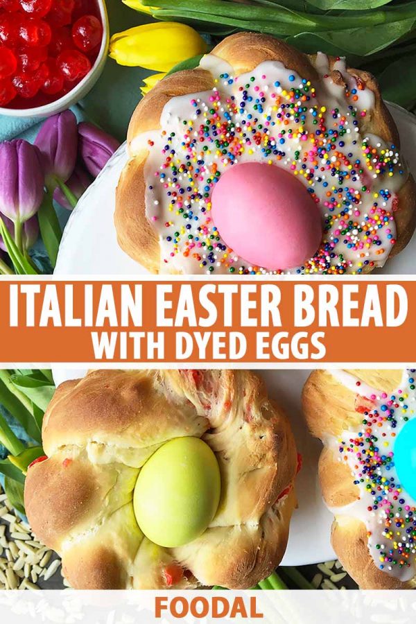 Italian Easter Bread with Dyed Eggs Recipe | Foodal