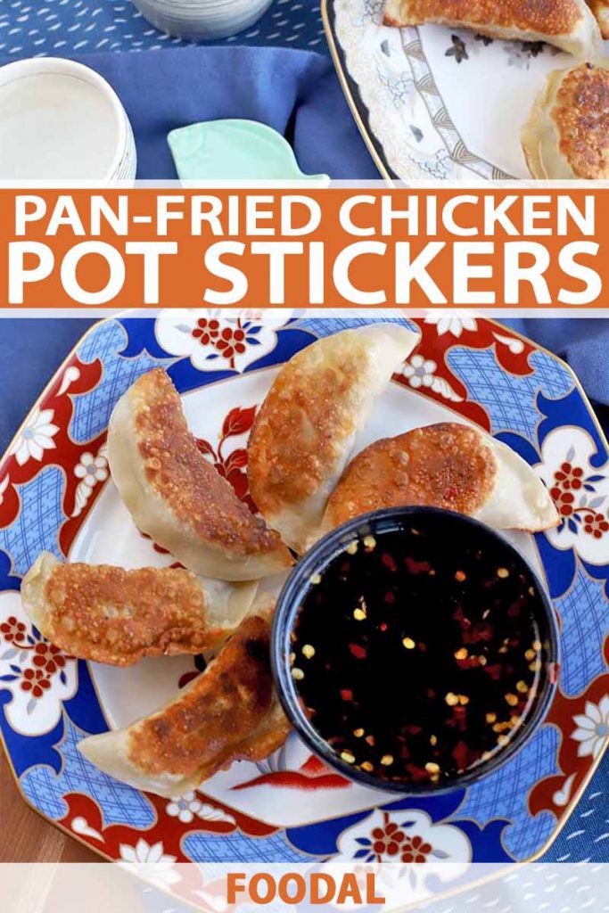 Overhead vertical closeup of a red, blue, and white patterned plate of homemade pan-fried chicken pot stickers arranged in a pinwheel formation with a cup of dipping sauce to the right, with a white plate of more dumplings in the background, and a small white ceramic cup and blue fish-shaped chopstick rest to the left, on a blue cloth on top of a brown wood table, printed with orange and white text.