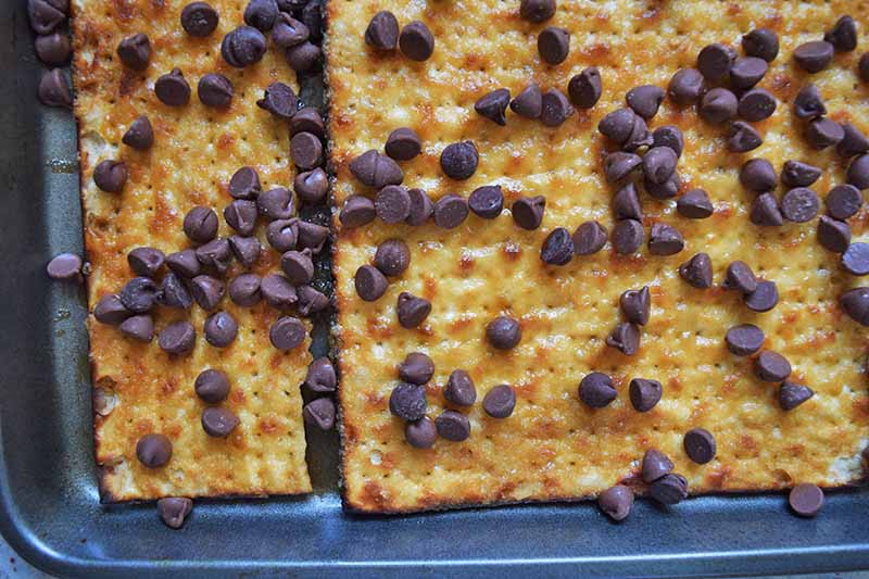 Closely cropped overhead shot of matzo crackers topped with caramel sauce and chocolate chips on a rimmed metal baking sheet.