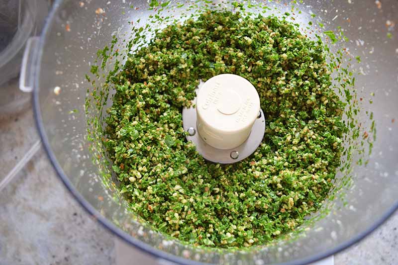 Overhead horizontal shot of chopped kale, nuts, and garlic in the bottom of a plastic Cuisinart food processor, on a beige kitchen countertop.