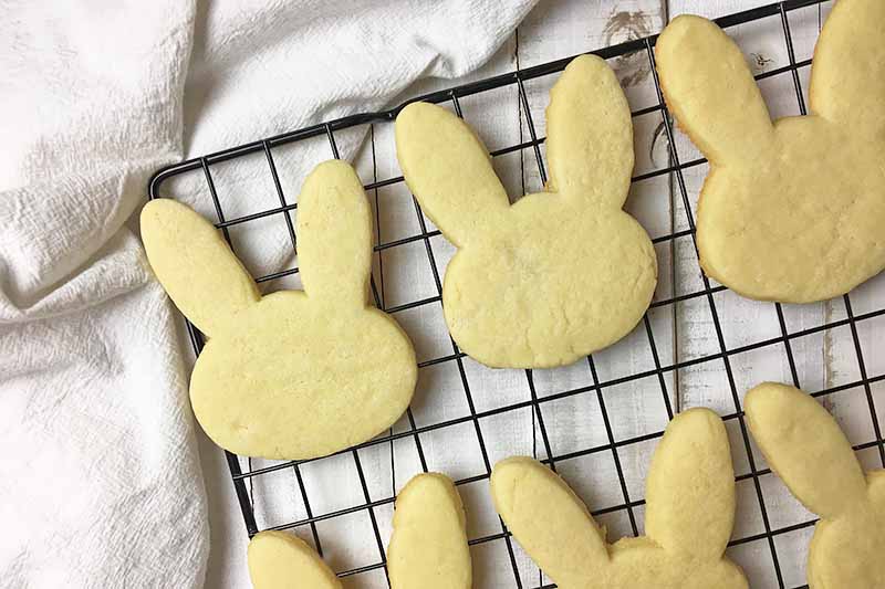 Horizontal image of plain rabbit-shaped sugar cookies on a cooling rack.