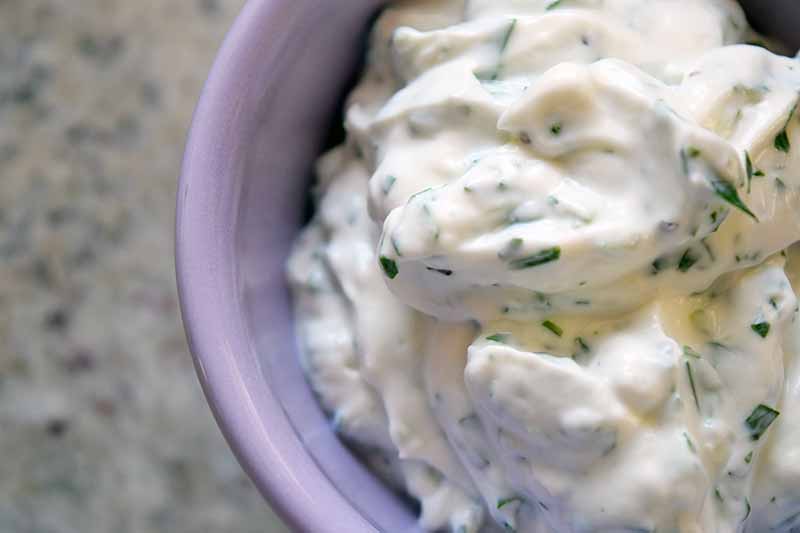 Overhead closeup closely cropped image of a lavender ceramic bowl of homemade cilantro and green onion sour cream and mayonnaise sauce, on a speckled beige and gray background.