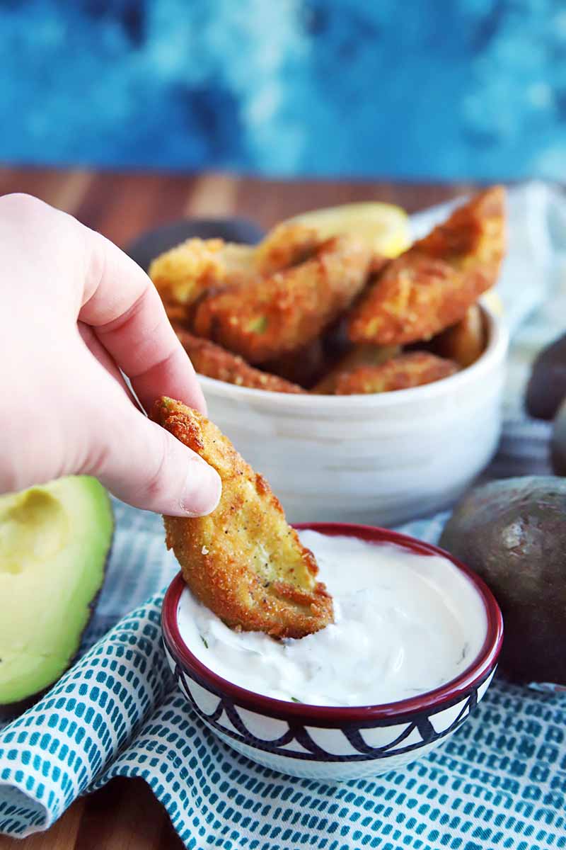 Vertical shot of a hand dipping an avocado fry into a small bowl of yogurt-based tzatziki dip, with more fries in the background beside whole and cut fruit, on a blue and white table runner on a brown wood surface, with a mottled blue background.